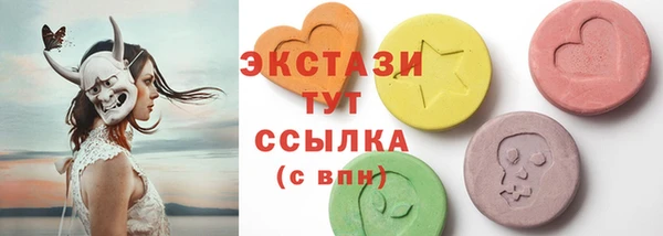 тгк Снежногорск