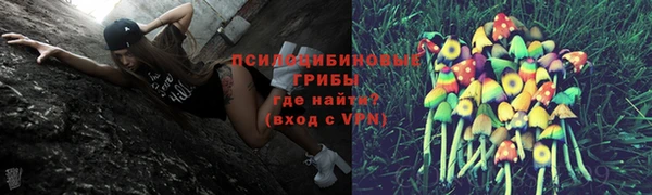 тгк Снежногорск