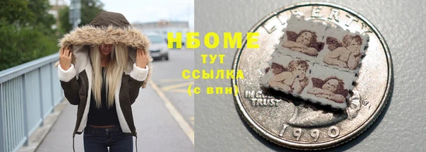 тгк Снежногорск