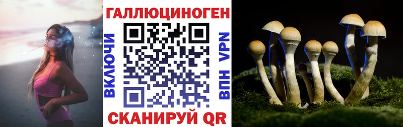 как найти   Спас-Деменск  Псилоцибиновые грибы прущие грибы 